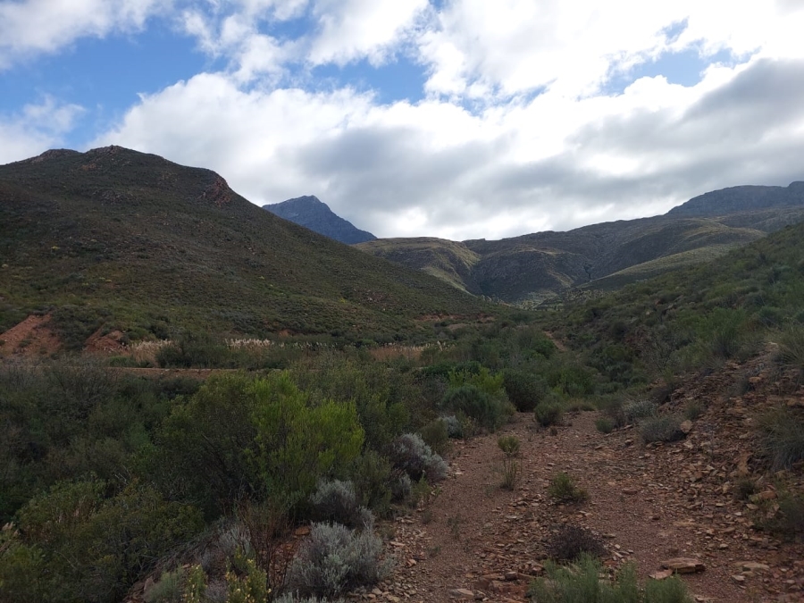 7 Bedroom Property for Sale in Ladismith Rural Western Cape